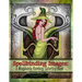 Spellbinding Images: A Grayscale Fantasy Coloring Book: Beginner's Edition