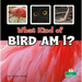 What Kind of Bird Am I?