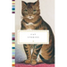 Cat Stories