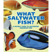 What Saltwater Fish?: A Buyer's Guide to Saltwater Aquarium Fish