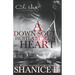 A Down South Hustla Stole My Heart: An African American Women's Fiction Book