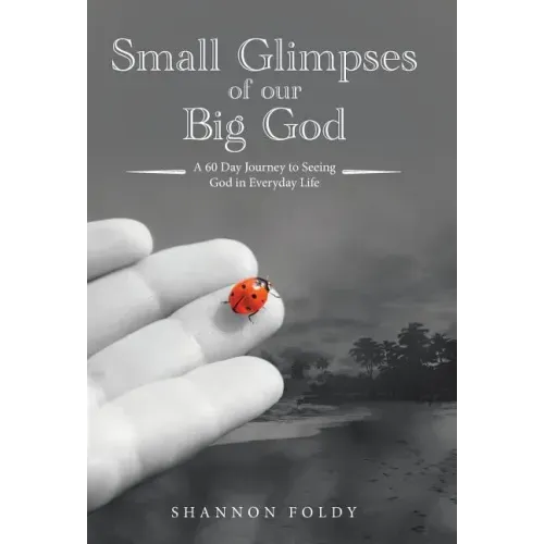 Small Glimpses of Our Big God: A 60 Day Journey to Seeing God in Everyday Life
