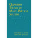 Quantum Theory of Many-Particle Systems