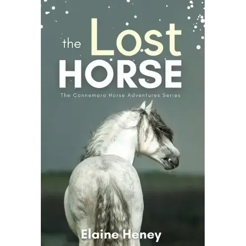 The Lost Horse - Book 6 in the Connemara Horse Adventure Series for Kids