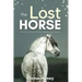 The Lost Horse - Book 6 in the Connemara Horse Adventure Series for Kids