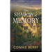 The Shadow of Memory