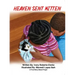 Heaven Sent Kitten: A True Story about Prayer