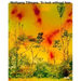 Wolfgang Tillmans: To Look Without Fear