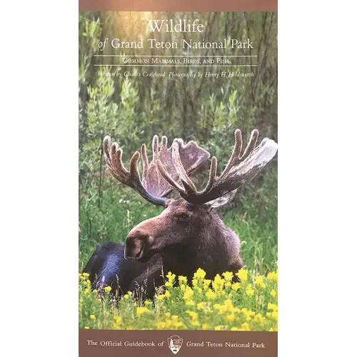 Wildlife of Grand Teton National Park