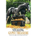 Stealing Gypsy Treasure: "America'S Love Affair with the Gypsy and His Horse"