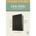 NLT Personal Size Giant Print Bible, Filament Enabled Edition (Red Letter, Leatherlike, Black/Onyx)