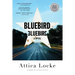 Bluebird, Bluebird