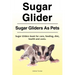 Sugar Glider. Sugar Gliders As Pets. Sugar Gliders book for care, feeding, diet, health and costs.