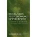 Heidegger's Phenomenology of Perception: Learning to See and Hear Hermeneutically