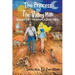 The Princess And The Valley Man