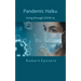 Pandemic Haiku: Living through COVID-19