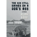 The Sun Still Shines on a Dog's Ass