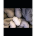 Crochet Patterns: Fast and Easy Crochet Patterns