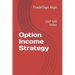 Option Income Strategy: S&P 500 Index