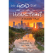 Did God Die on the Way to Houston? a Queer Tale: A Work of Theological Fiction