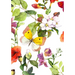 UNDATED DAILY PLANNER & BUSINESS ORGANIZER (Pink Butterfly)
