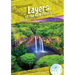 Layers of the Rain Forest