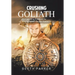 Crushing Goliath: Winning Practices for Slaying Giant People Problems