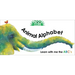 Zoo Clues: Animal Alphabet