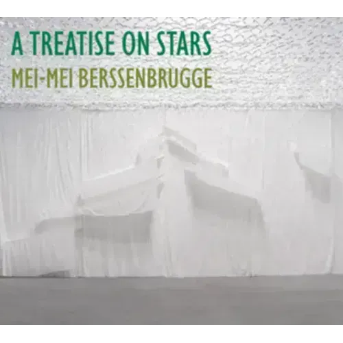 A Treatise on Stars