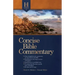 Holman Concise Bible Commentary