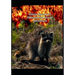 Hiram Raccoon's Phenomenal Movie Adventure