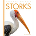 Storks