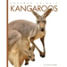 Kangaroos