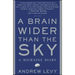 Brain Wider Than the Sky: A Migraine Diary