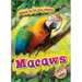 Macaws