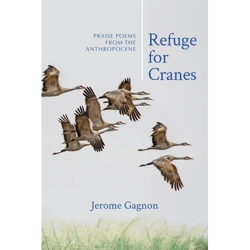 Refuge for Cranes