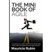 The Mini Book of Agile: Everything you really need to know about Agile, Agile Project Management and Agile Delivery