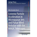 Extreme Particle Acceleration in Microquasar Jets and Pulsar Wind Nebulae with the Magic Telescopes
