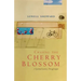 Chasing the Cherry Blossom