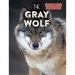 The Gray Wolf