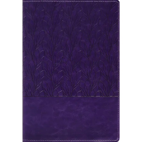 Amplified Holy Bible, Large Print, Leathersoft, Purple: Captures the Full Meaning Behind the Original Greek and Hebrew