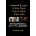 Ancient Egypt & The Myth Of The White Pharaohs: Who Should I believe: You, or my lying eyes?