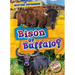 Bison or Buffalo?