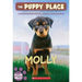 Molly (the Puppy Place #31)