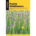 Prairie Wildflowers