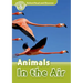 Read and Discover Level 3 Animals in the Air