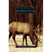 Elk Grove Village