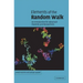 Elements of the Random Walk