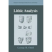 Lithic Analysis