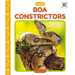 Boa Constrictors